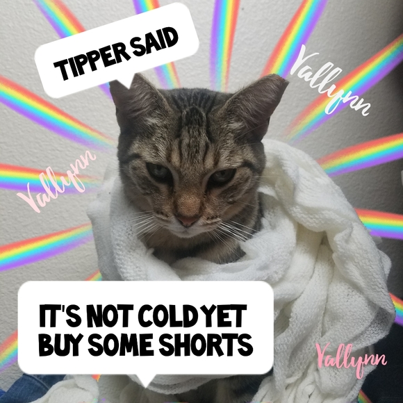 Levi's Pants - SHORTS SHORTS DO NOT COPY